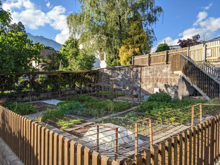 Gemüsegarten