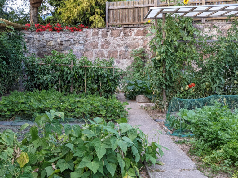 Gemüsegarten